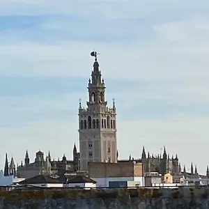  Apartment Atico Caleria Con Vistas A La Giralda Spain